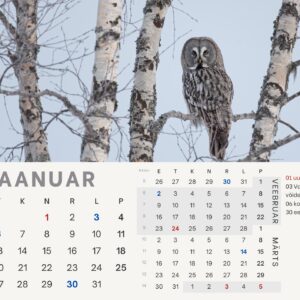 Loomade lauakalender 2026