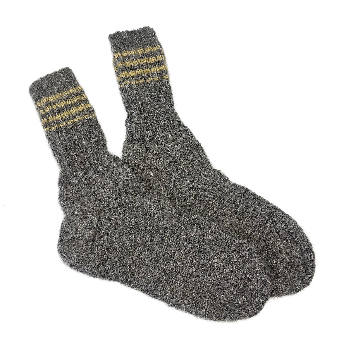Koeravilla sokid nr 42-43